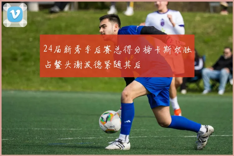 24届新秀季后赛总得分榜卡斯尔独占鳌头谢泼德紧随其后